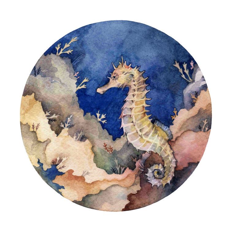 Картины на пластике, пеноркартоне Sea horse watercolor