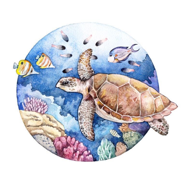Купить и печать на заказ Репродукции картин Морская черепаха акварель