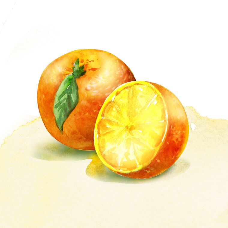 Купить и печать на заказ Картины Апельсины акварель