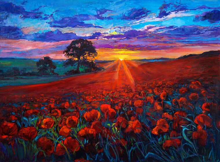 Картины Poppy field at sunset