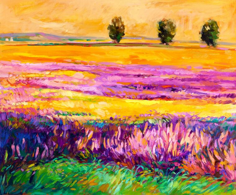 Картины Sunny field of lavender