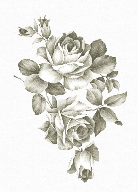 Картины Rose Sepia