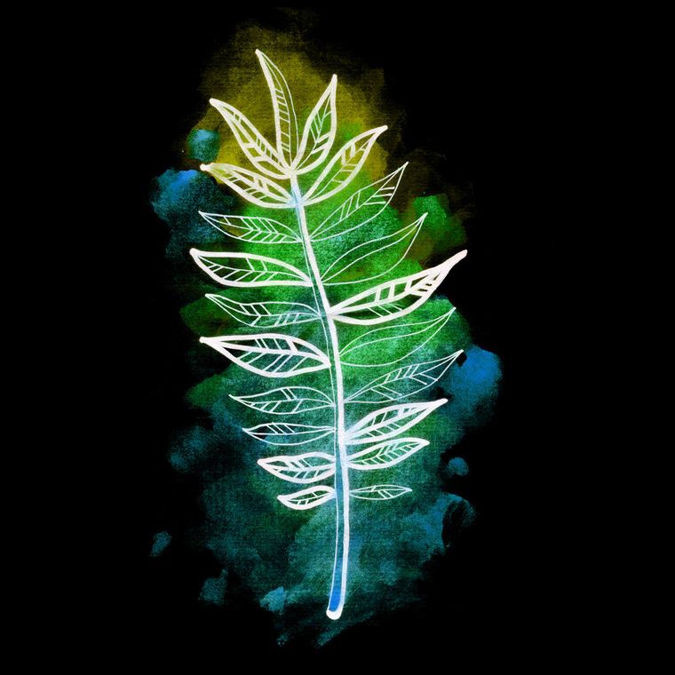 Репродукции картин Palm leaf art