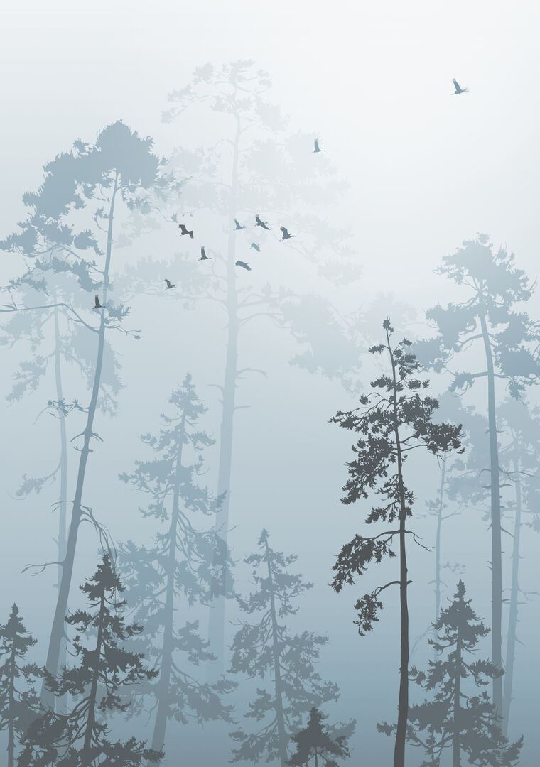 Фотообои В тумане