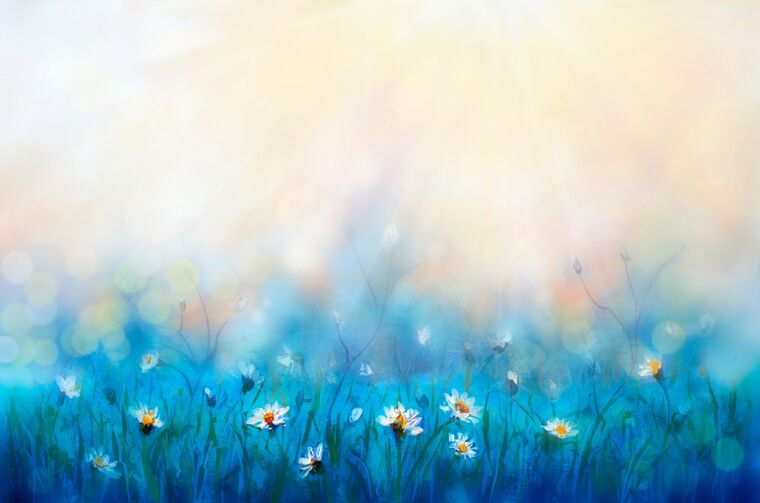 Paintings Daisies in a meadow