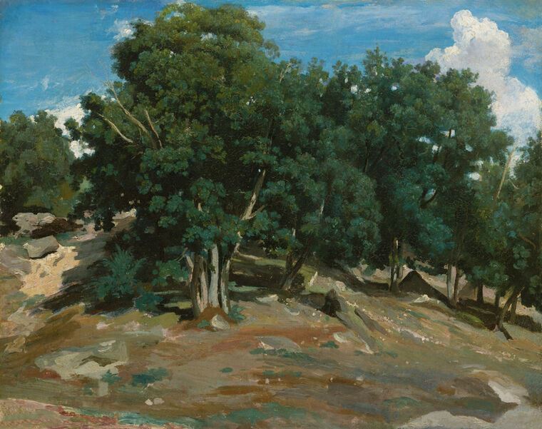 Репродукции картин Fontainebleau: Oak trees at Bas-bree (Camille Corot)