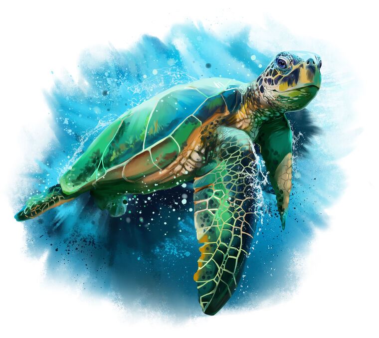 Купить и печать на заказ Репродукции картин Цифровая иллюстрация морская черепаха