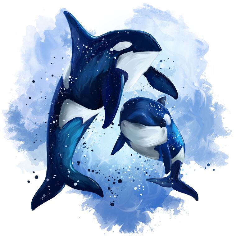 Картины Digital illustration of killer whale