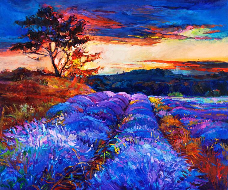 Репродукции картин Field of lavender at sunset