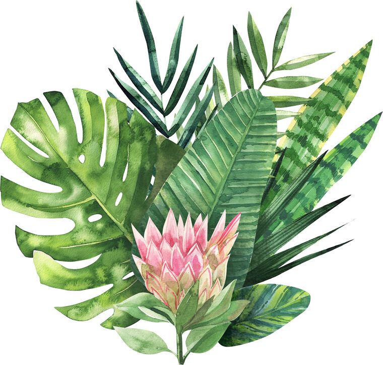 Reproduction paintings An arrangement of tropical leaves