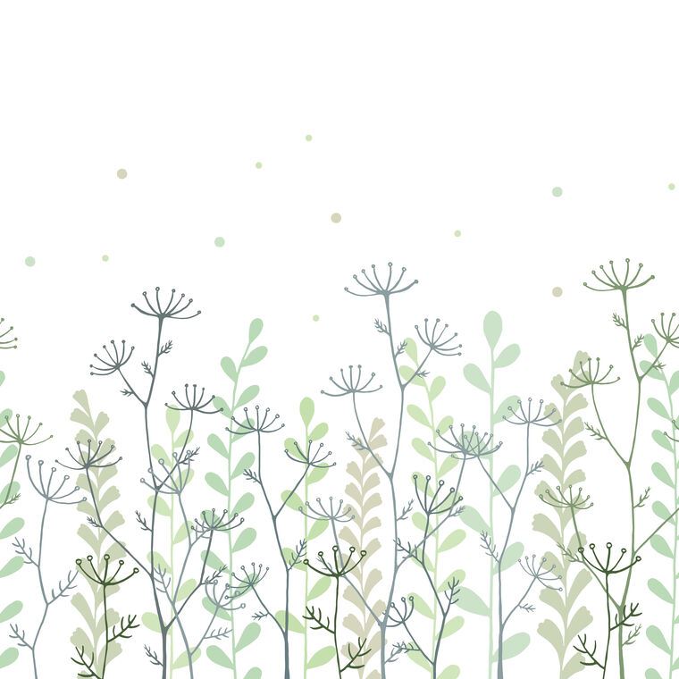 Репродукции картин Hand drawn herbs on white background