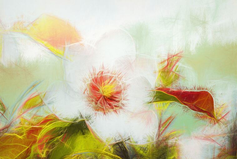 Репродукции картин Flower in the garden pencil effect