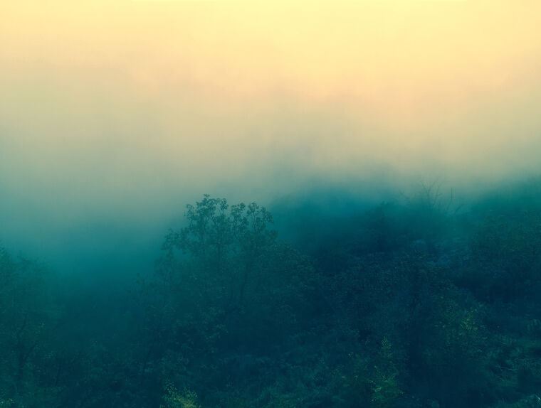 Репродукции картин Forest in the fog