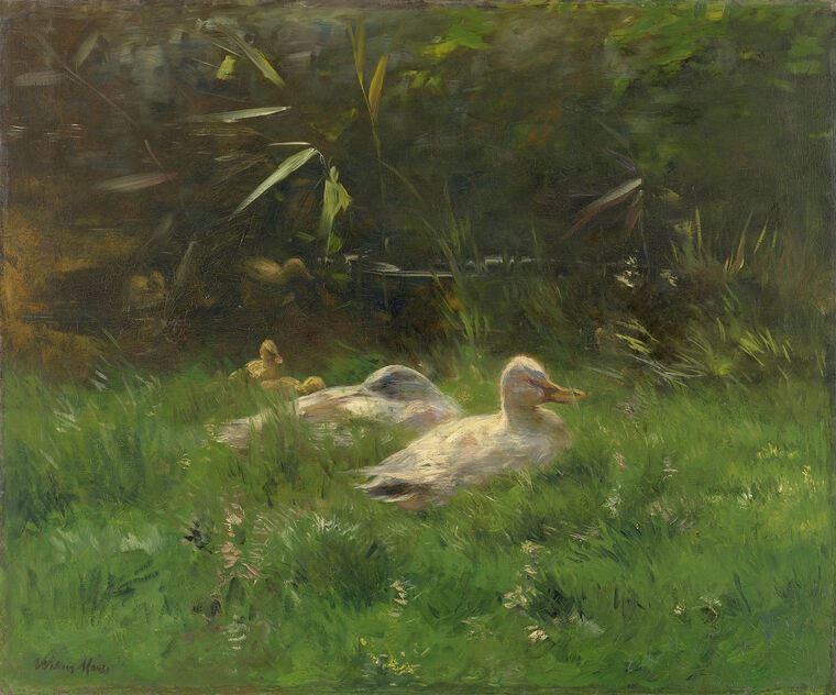 Репродукции картин Ducks (Willem Maris)