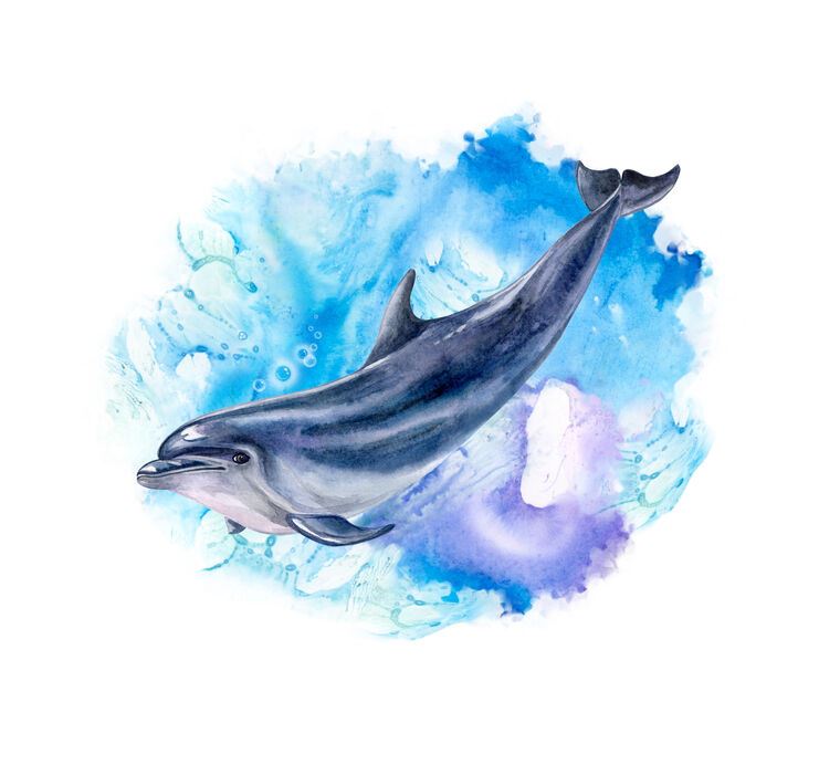Купить и печать на заказ Репродукции картин Акварельный дельфин