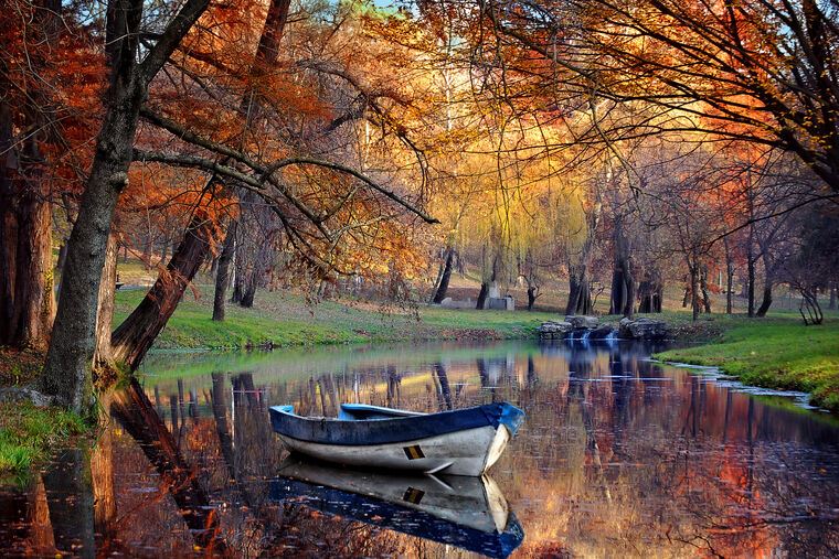 Купить и печать на заказ Картины Лодка на озере в осеннем лесу