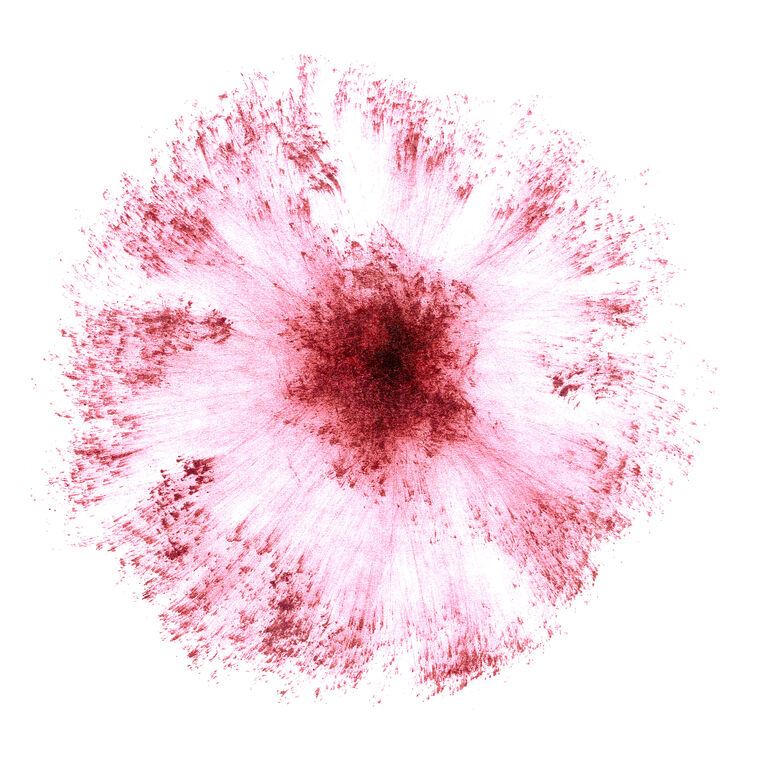 Картины на фотобумаге Abstraction flower