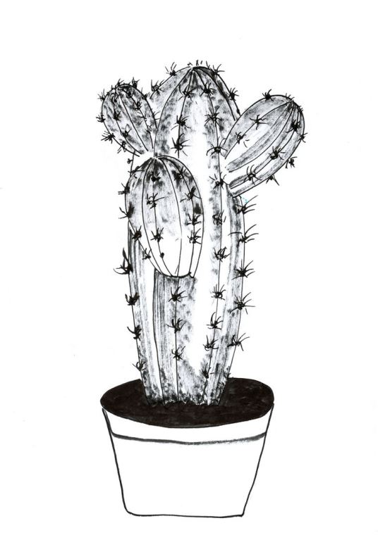 Картины Cactus cartoon style