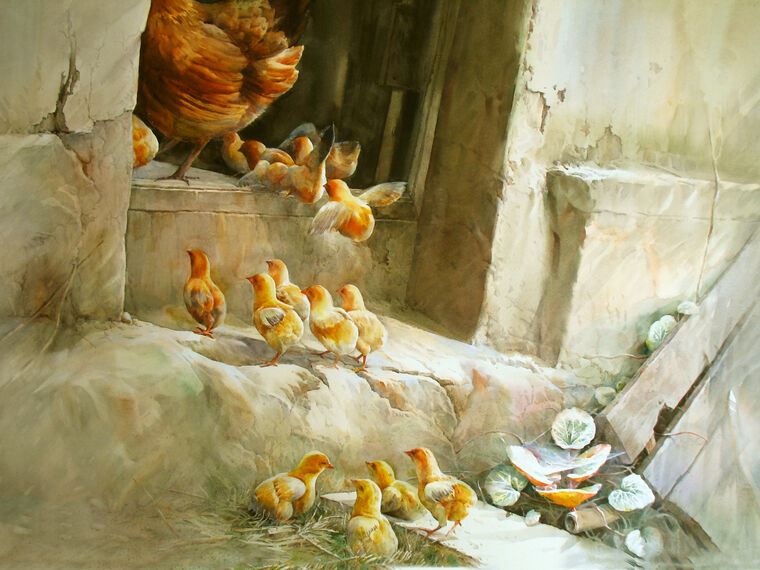 Купить и печать на заказ Репродукции картин Акварельная живопись цыплята с курицей