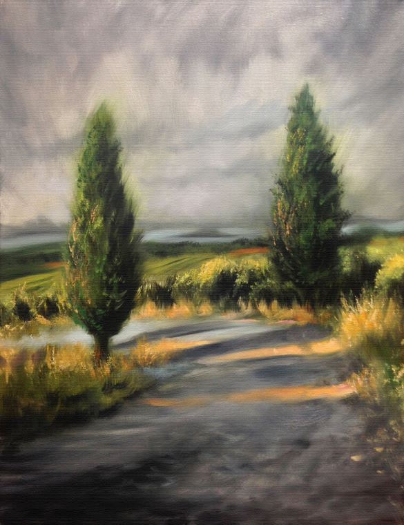 Картины на фотобумаге Tuscan cypress trees