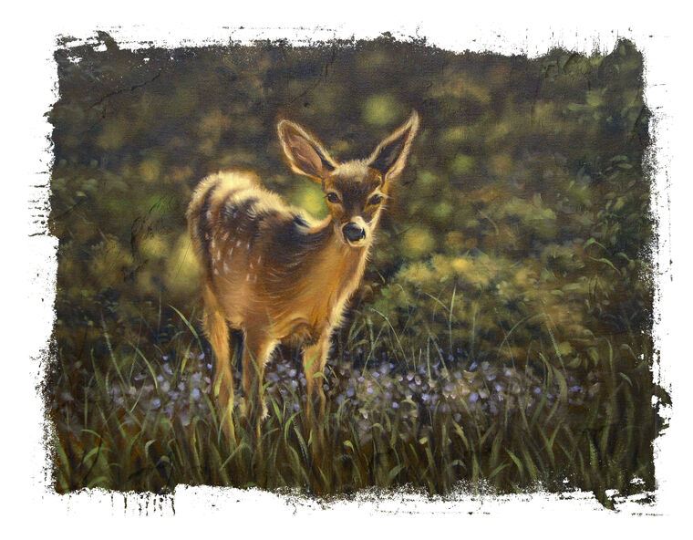 Paintings Fawn painting