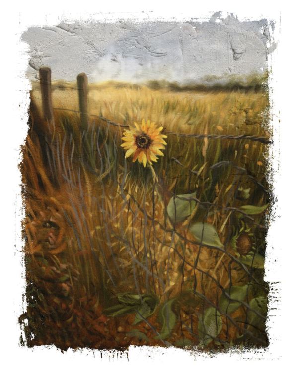 Картины Lone sunflower