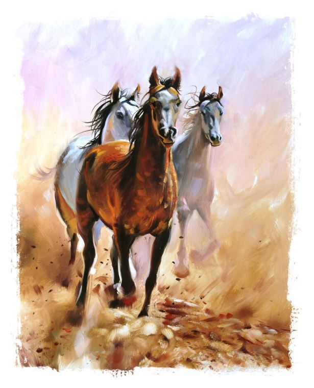 Картины, фото с паспарту Running horse painting