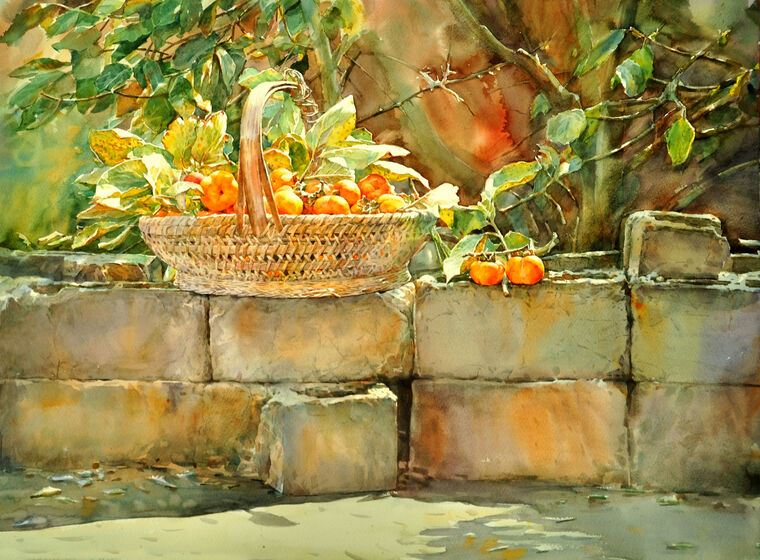 Картины Persimmon in the sun watercolor painting