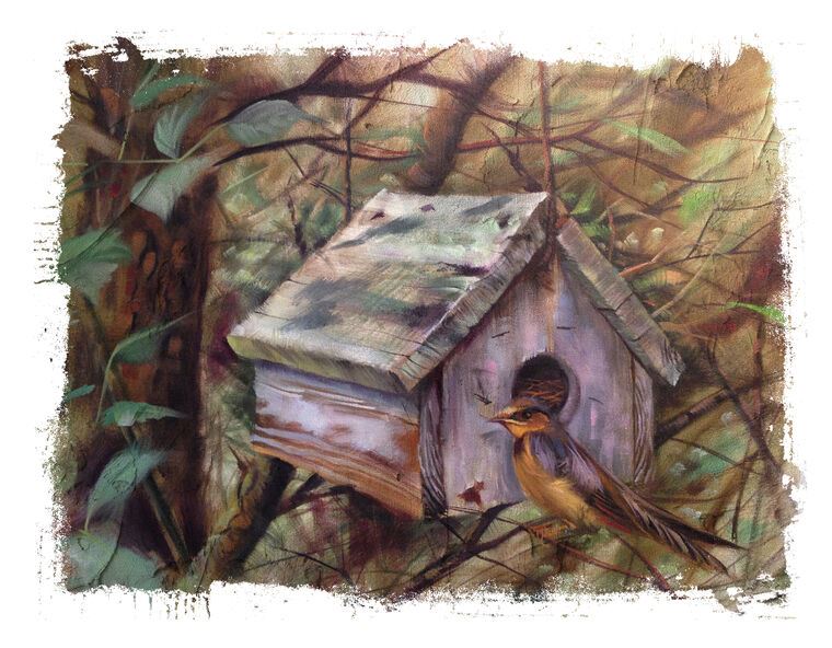 Картины Bird house