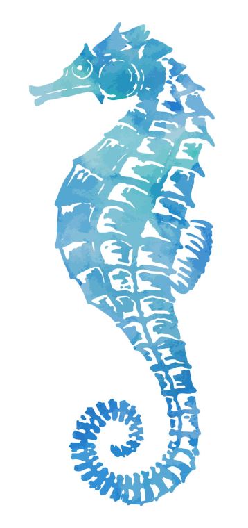 Купить и печать на заказ Репродукции картин Морской конёк