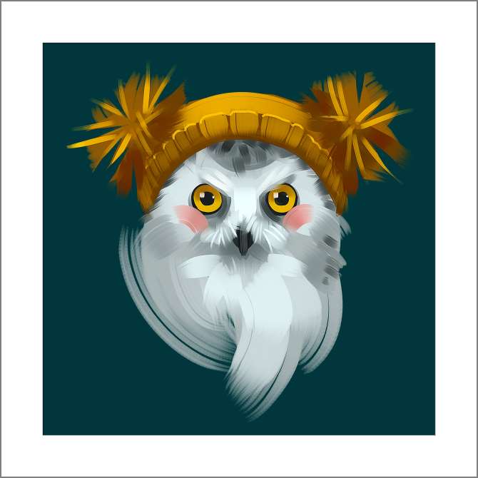 Купить и печать на заказ Картины, фото с паспарту Сова в зимней шапке