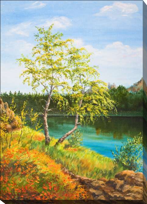 Paintings on canvas Series quiet природа_7