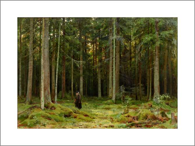 Картины, фото с паспарту В лесу графини Мордвиновой. Петергоф