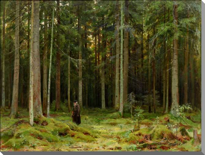 Картины В лесу графини Мордвиновой. Петергоф