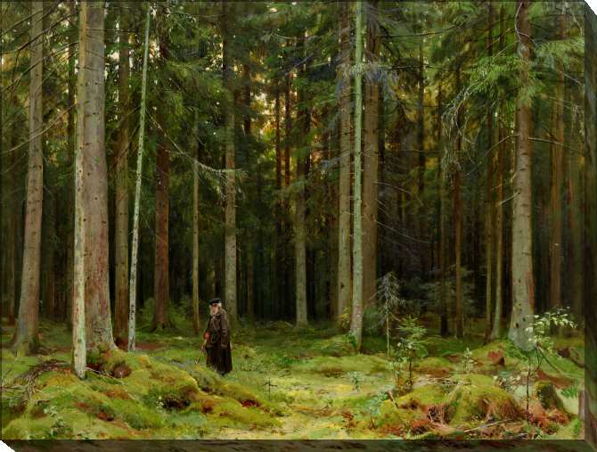 Paintings on canvas In the forest of Countess Mordvinova. Peterhof