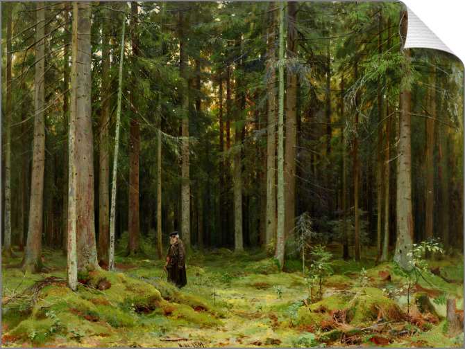 Картины на холсте В лесу графини Мордвиновой. Петергоф