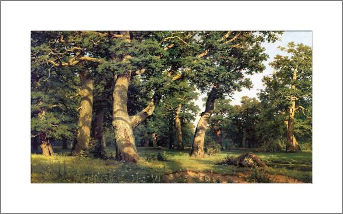 Картины, фото с паспарту Дубовая роща