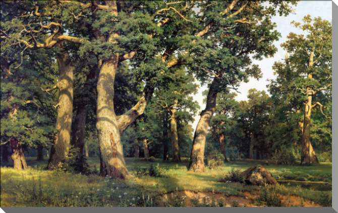 Картины на пластике, пеноркартоне Дубовая роща