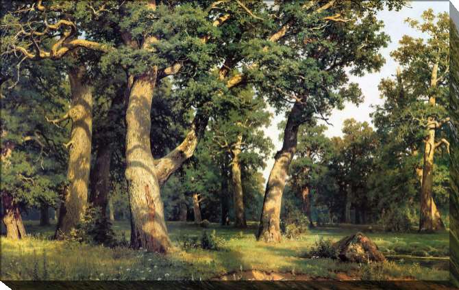 Paintings on canvas Oak Grove