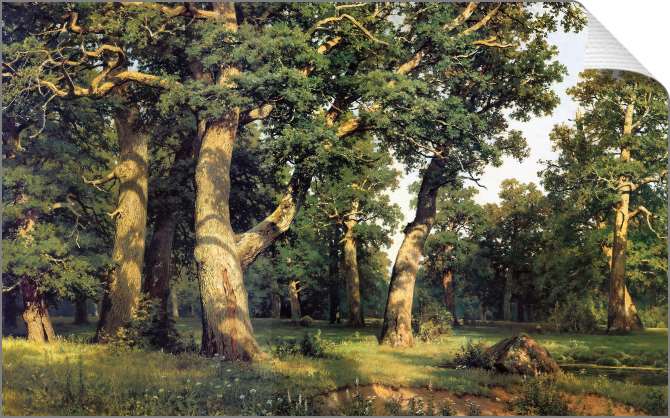 Картины на холсте Дубовая роща