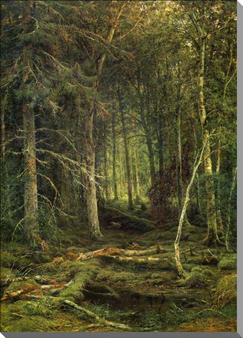 Картины на пластике, пеноркартоне Лесная глушь