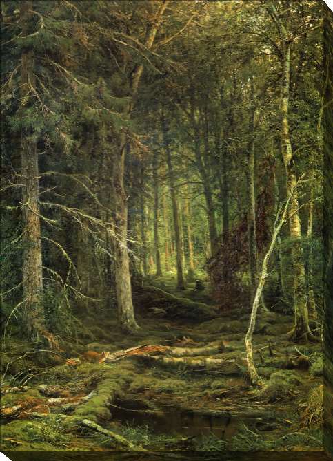 Paintings on canvas Forest wilderness