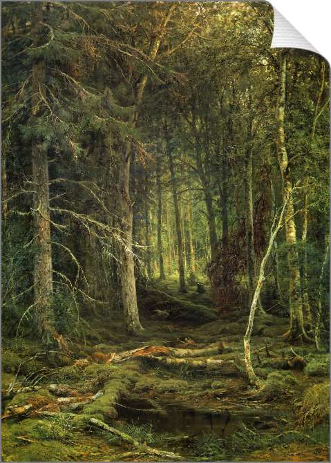 Картины на холсте Лесная глушь