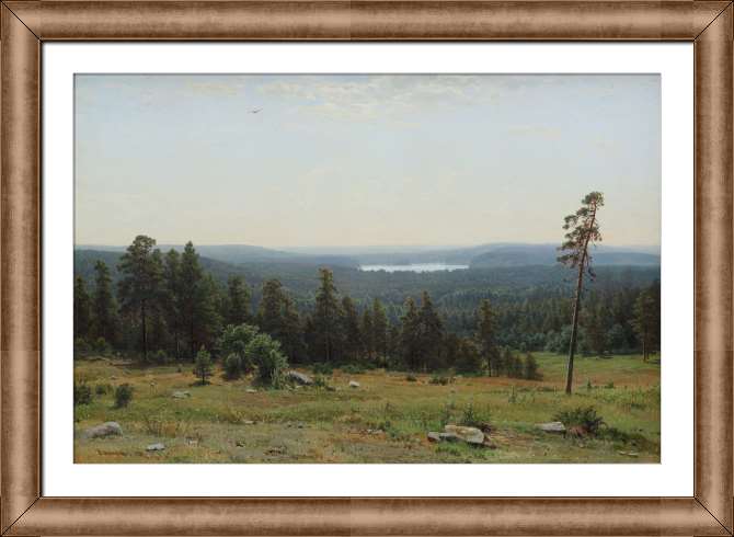 Картины на холсте Лесные дали