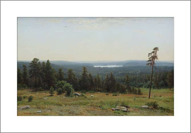 Картины, фото с паспарту Лесные дали
