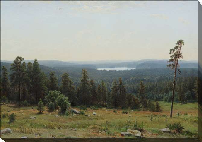 Paintings on canvas Forest distances