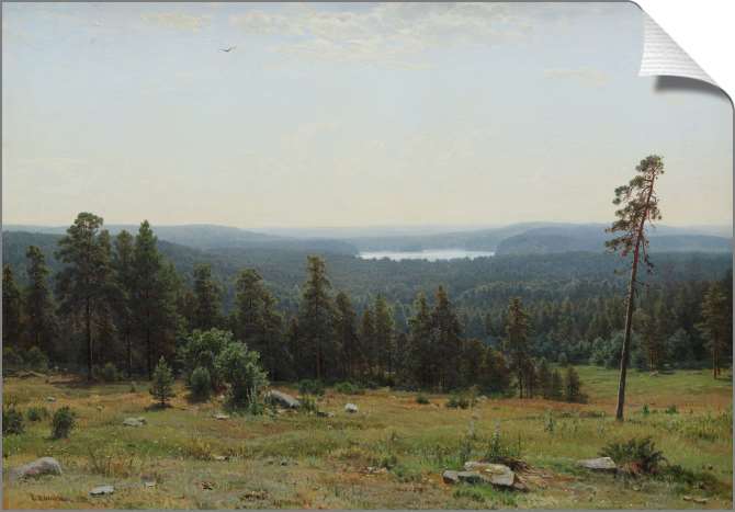 Картины на холсте Лесные дали