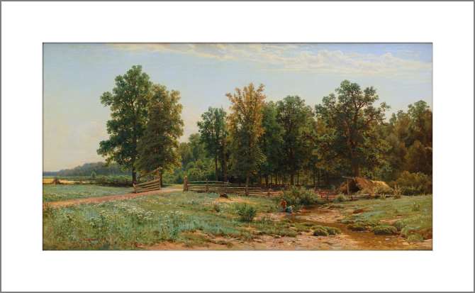 Картины, фото с паспарту На окраине дубового леса