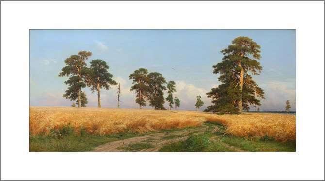 Картины, фото с паспарту Рожь