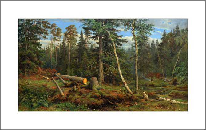 Картины, фото с паспарту Рубка леса